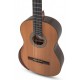 MANUEL RODRIGUEZ 501320 | Guitarra Serie SUPERIOR B Eucalipto