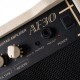 CORT AF30 | Amplificador de 30 Watts  para Guitarra